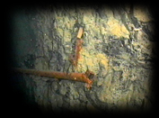 220 slurry pipe rail